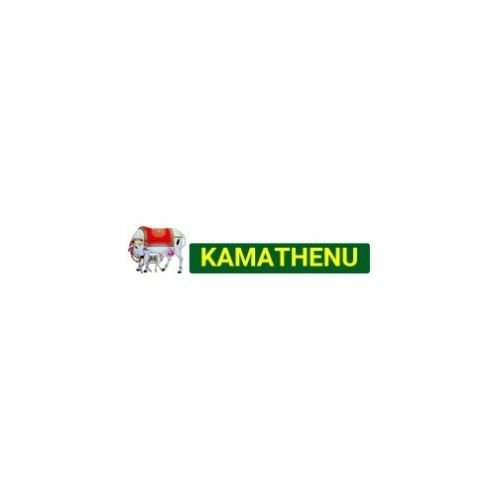 Digital Marketing Agency In Tirupur